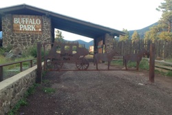 Buffalo park pet friendly dog parks in Flagstaff Arizona