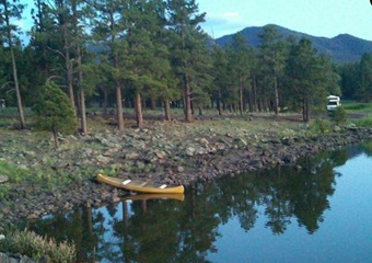 pet friendly vacation rental home in Flagstaff, Arizona