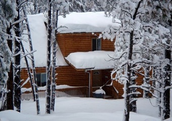 pet friendly vacation rental home in Flagstaff, Arizona