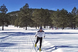 Flagstaff Nordic Center pet friendly dog parks in Flagstaff Arizona