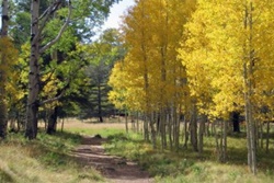 Flagstaff Urban Trail System pet friendly dog parks in Flagstaff, Arizona