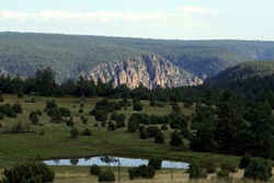 Kendrick Park Wildlife Trail pet friendly dog parks in Flagstaff, Arizona