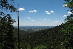 Mt Elden Trail System pet friendly dog parks in Flagstaff Arizona