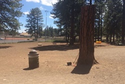 Thorpe Bark Park pet friendly dog parks in Flagstaff, Arizona